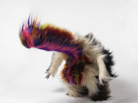 A Soundsuit by fiber artist Nick Cave.