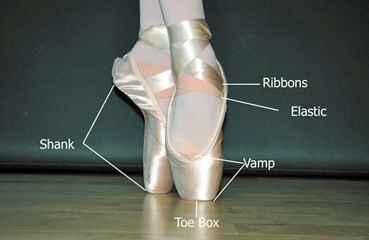 Labeled Parts Of A Shoe