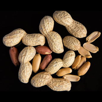 A handful of peanuts against a black background