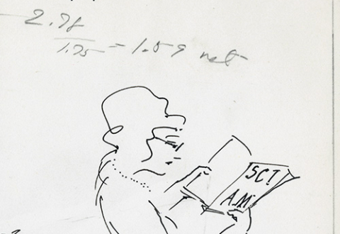 Sketch of a woman reading