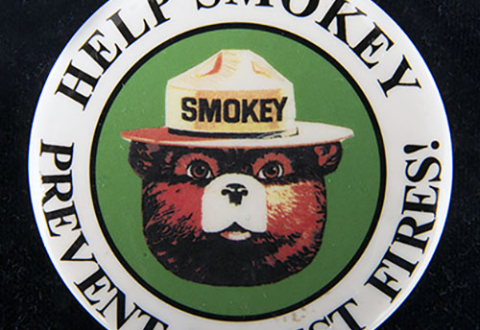 Metal button with image of Smokey the Bear’s head and the words “Help Smokey Prevent Forest Fires” around the outer edge