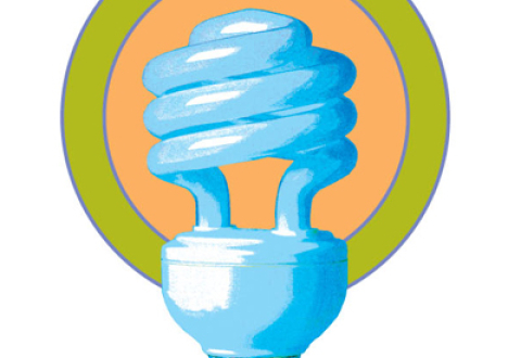 A stylized drawing of a compact fluorescent light bulb surrounded by a solid orange circle with a green border