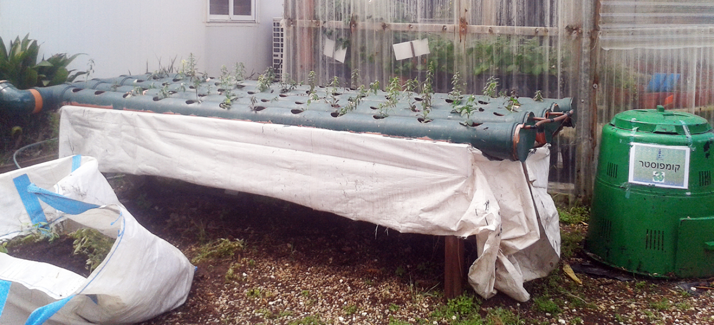 Hydroponic table with growing plants