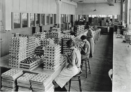 Women workers polishing countless trays of billiard balls during celluloid billiard ball manufacturing