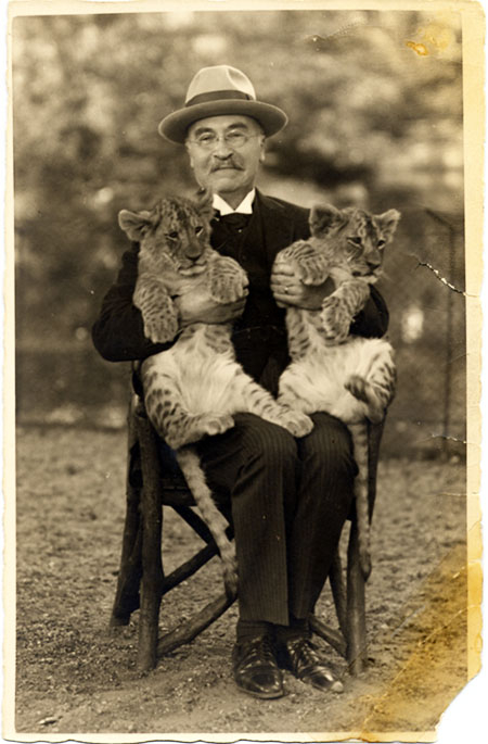 Baekeland seated on a chair, holding 2 leopard cubs