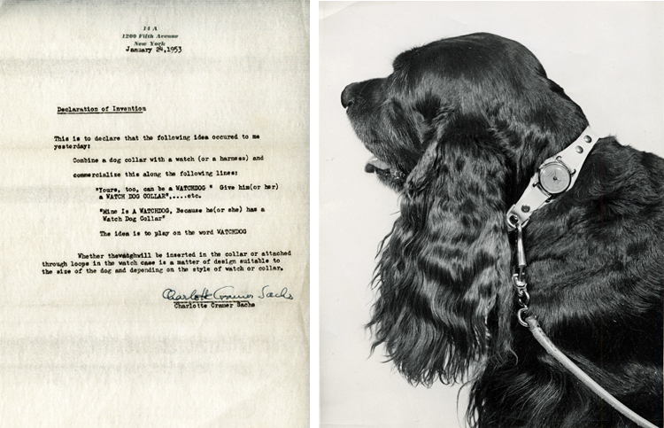 Composite image: letter from Sachs recording invention idea (left) and dog wearing a collar with a watch attached (right)