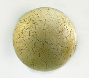 Celluloid billiard ball