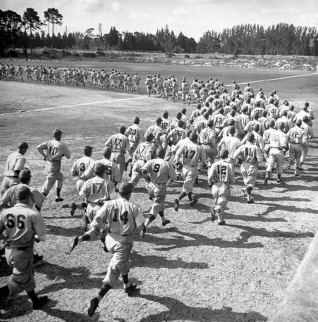 Overhead view of large group of baseball players rounding bases