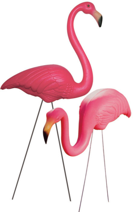 Two plastic pink flamingos