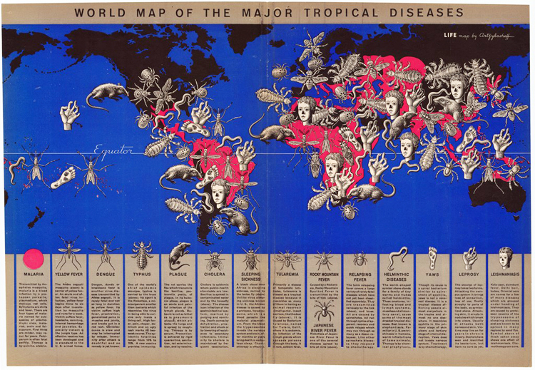 World map illustrated with organisms that cause disease, including rats, ticks, and mosquitoes.