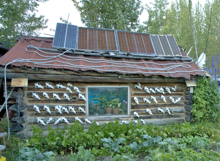 A remote cabin in Alaska, covered with deer skulls, with solar panels on the roof