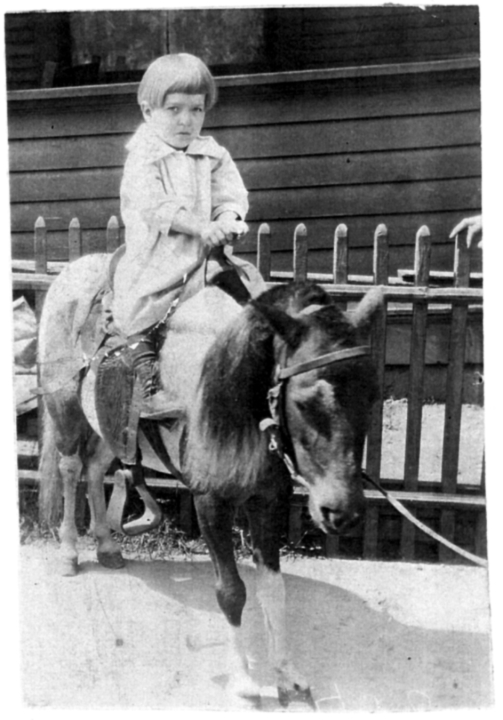 Girl on horse