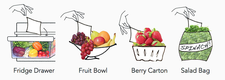 Drawing showing uses of FreshPaper in refrigerator, fruit bowl, berry carton, and salad bag