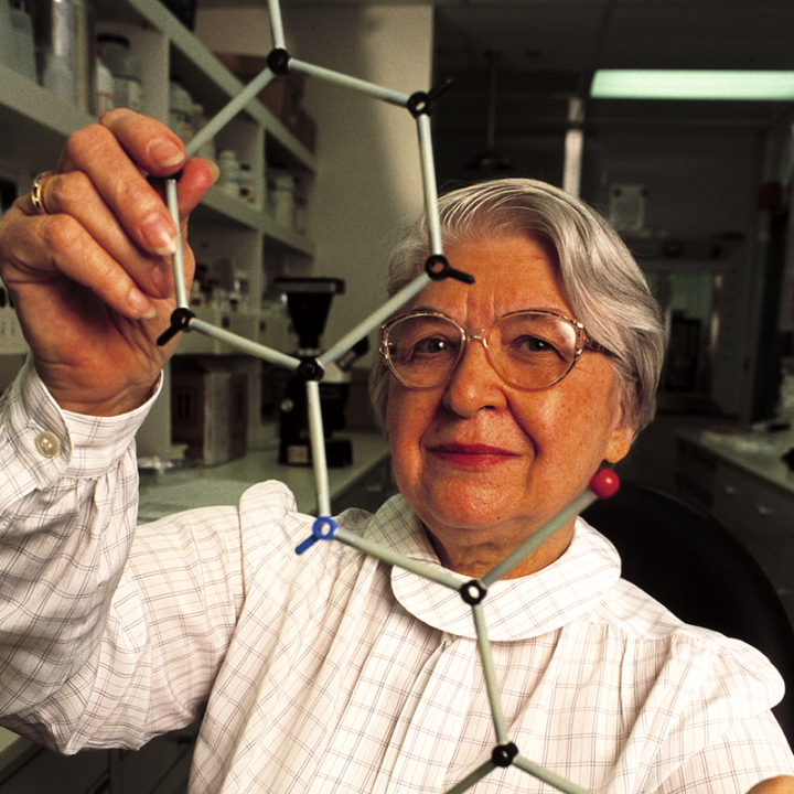 Stephanie Kwolek with model