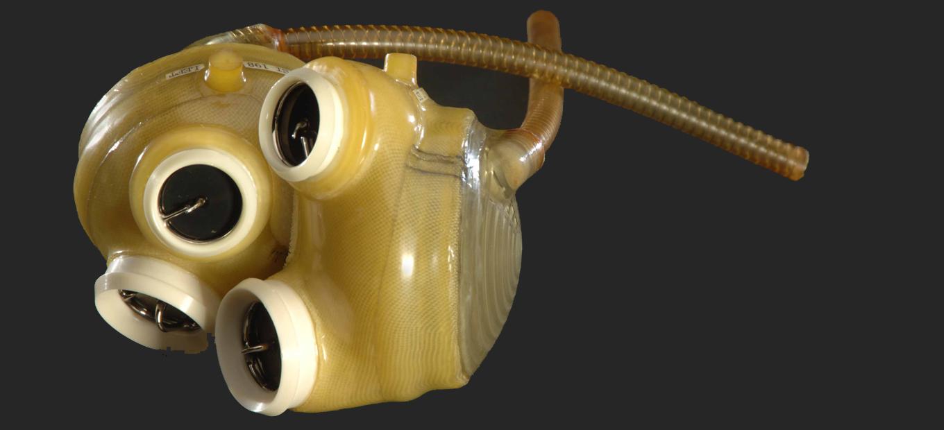 The Jarvik artificial heart