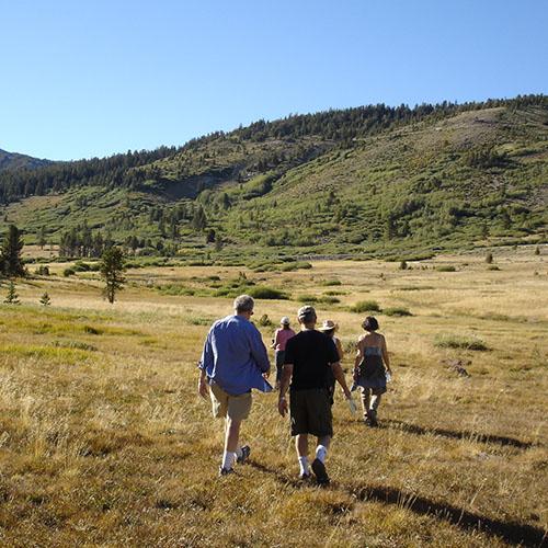 Four people hiking through a field